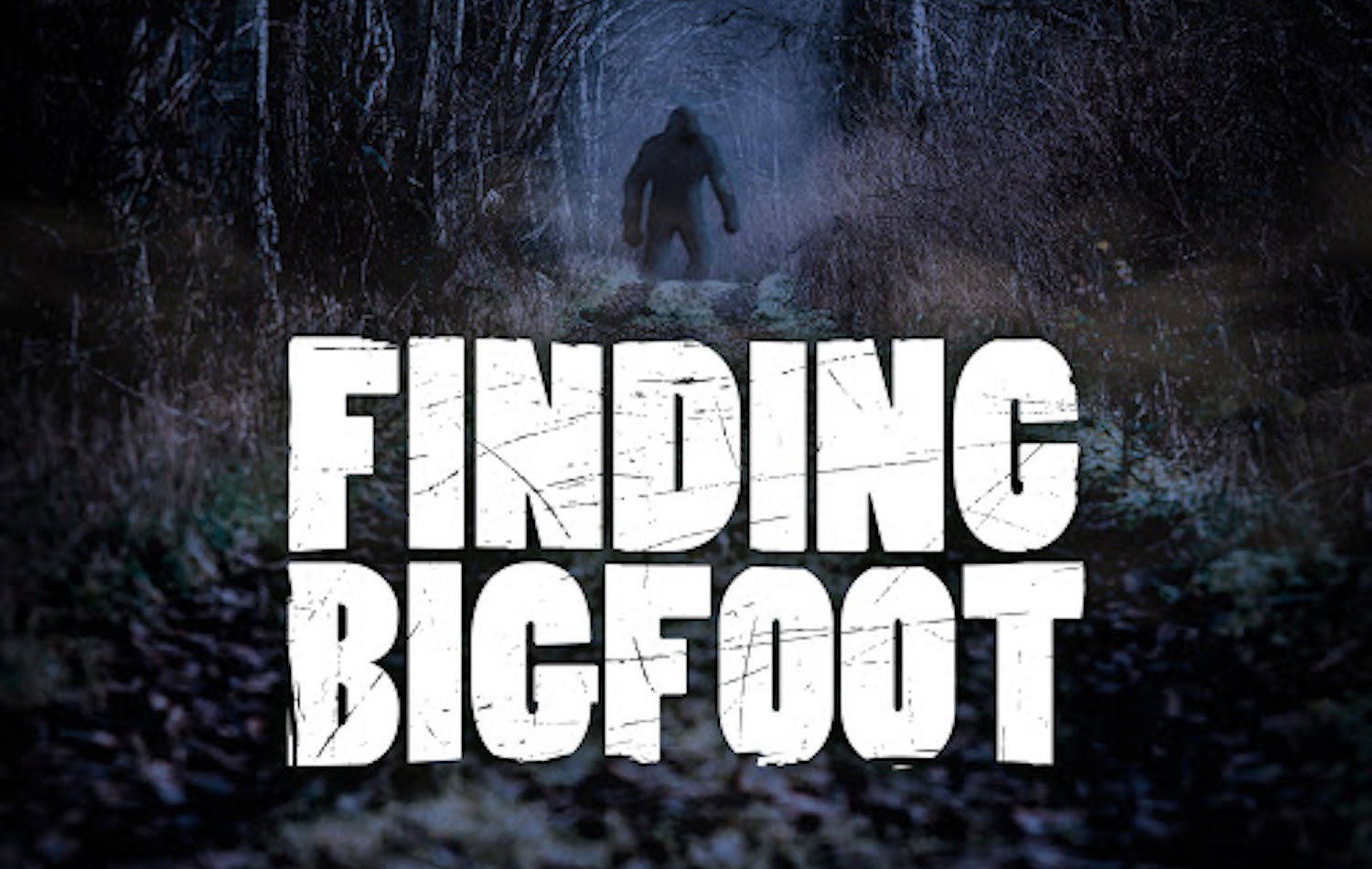 Finding-Bigfoot.jpg