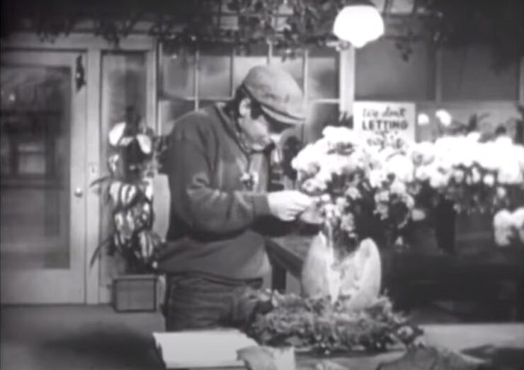 Seymour feeds Audrey II in Little Shop of Horrors