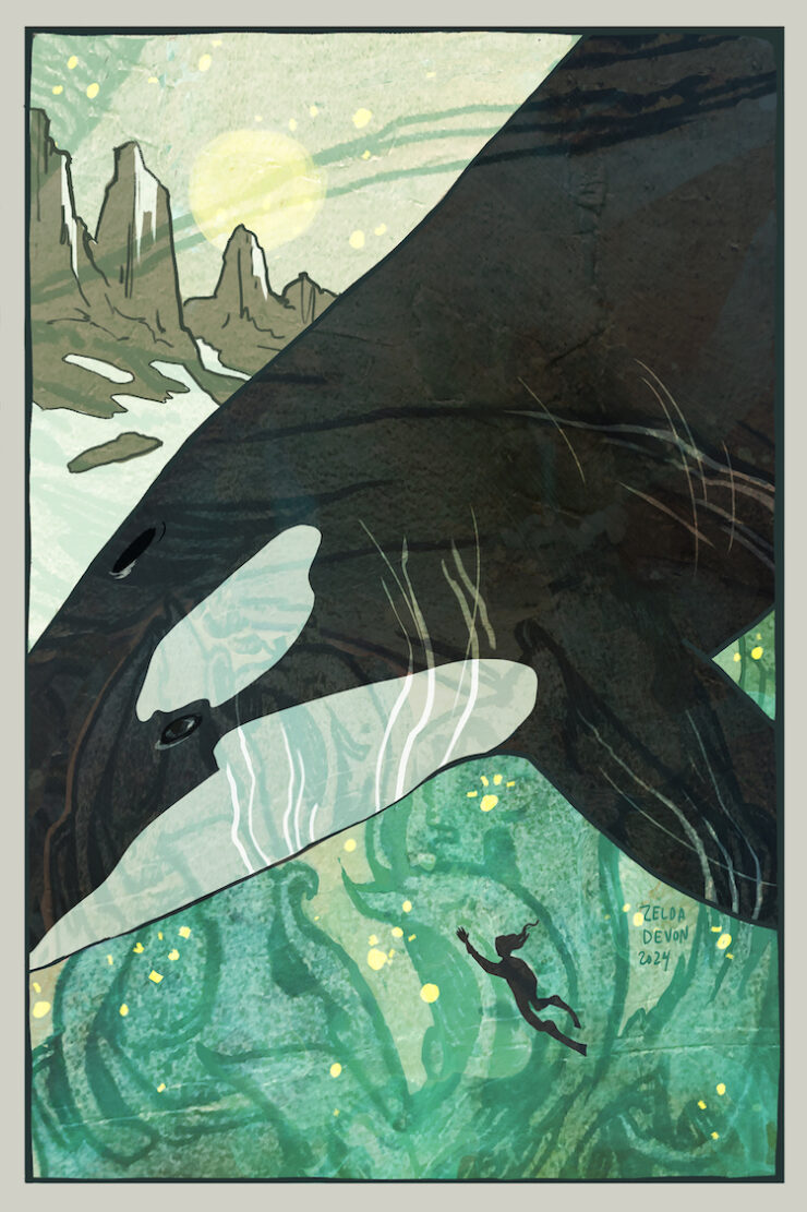 An illustration of a killer whale swimming over a small human figure.