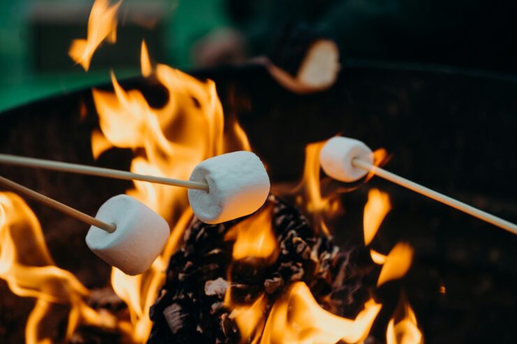 Closeup photo of a campfire and three marshmallows on sticks