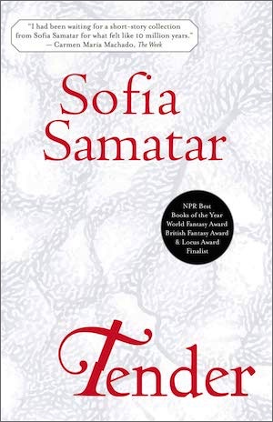 Cover of Tender by Sofia Samatar