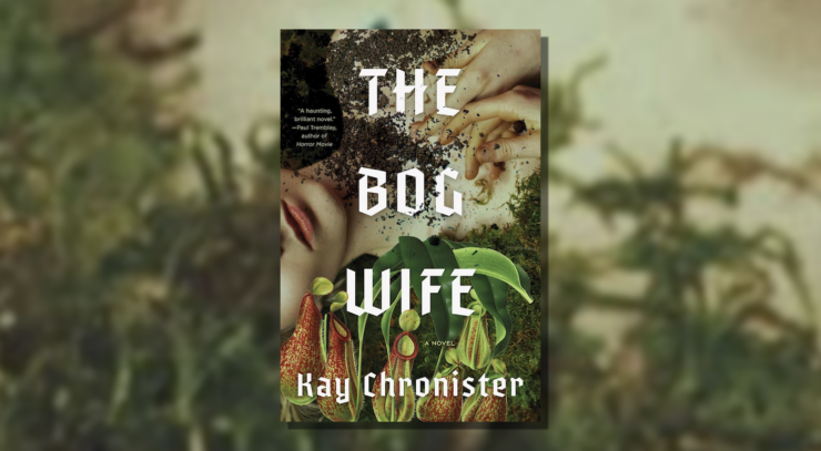 Cover of The Bog Wife by Kay Chronister