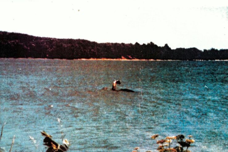 Photo allegedly showing "Champ", the lake monster of Lake Champlain