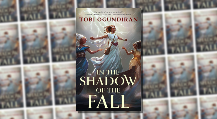 Cover of In the Shadow of the Fall by Tobi Ogundiran