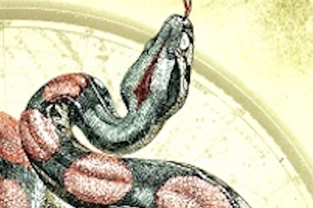 Detail from the cover of Dreamsnake by Vonda McIntyre