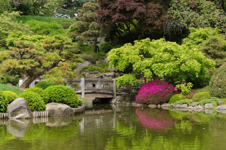 Brooklyn Botanical Garden, showing a lush landscape with a river and bridge