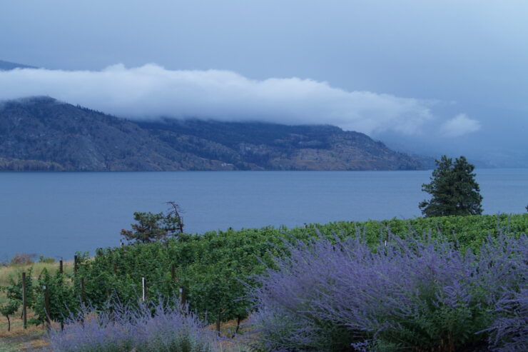 Okanagan Lake, Home of Ogopogo