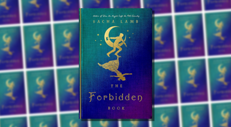 Cover of The Forbidden Book by Sacha Lamb