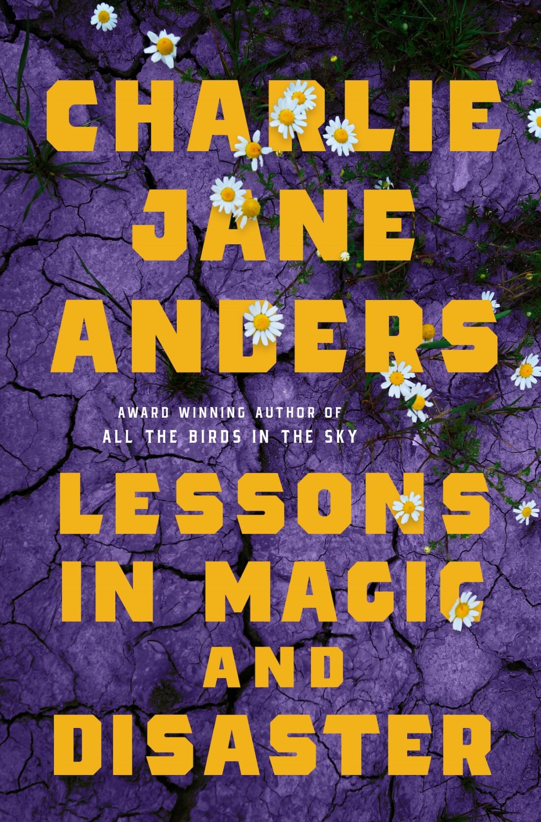 Cover of Lessons in Magic and Disaster by Charlie Jane Anders