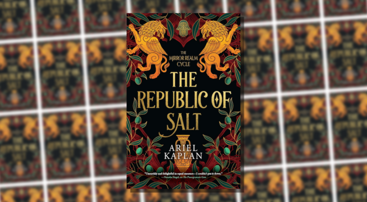 Cover of The Republic of Salt by Ariel Kaplan