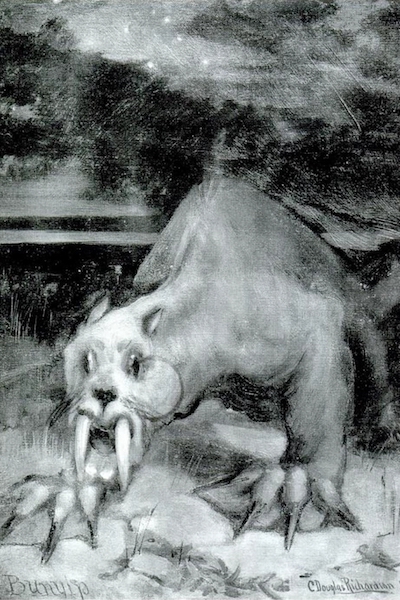 A Beast of Myriad Forms: Researching the Bunyip