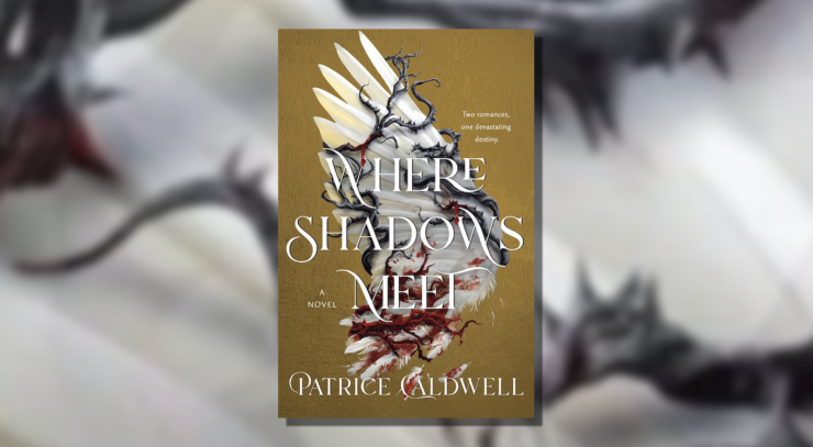 Cover of Where Shadows Meet by Patrice Caldwell.