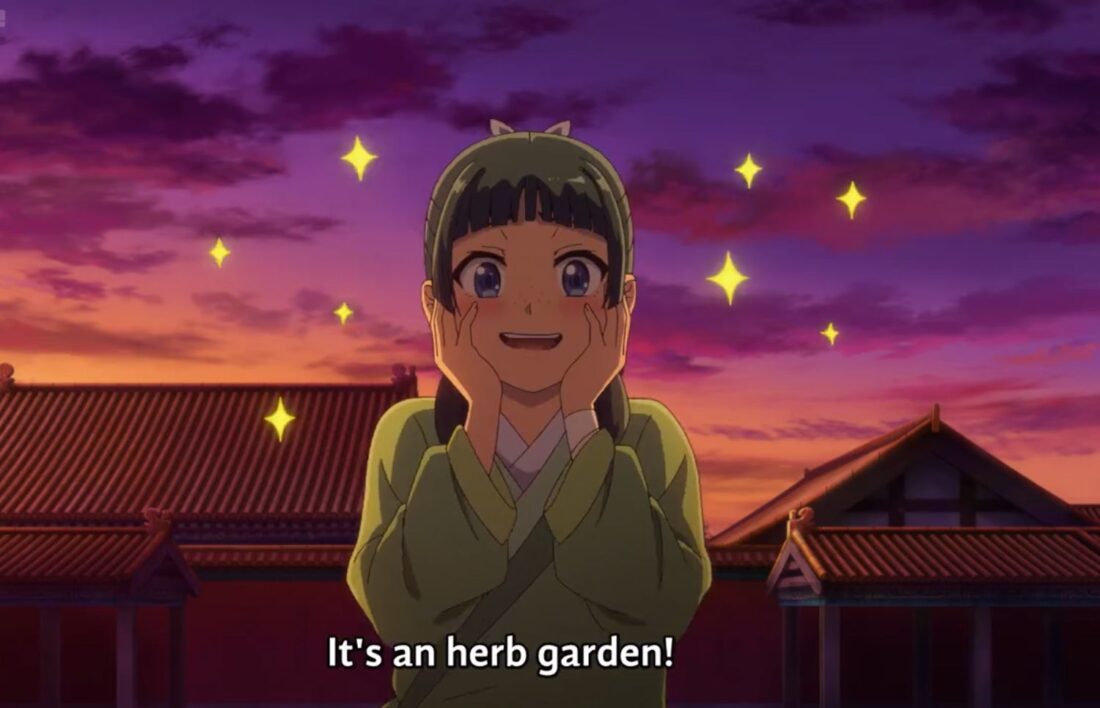 Image of Maomao, a main character of the anime series The Apothecary Diaries. Maomao is surrounded by sparkles; the subtitle reads "It's an herb garden!"