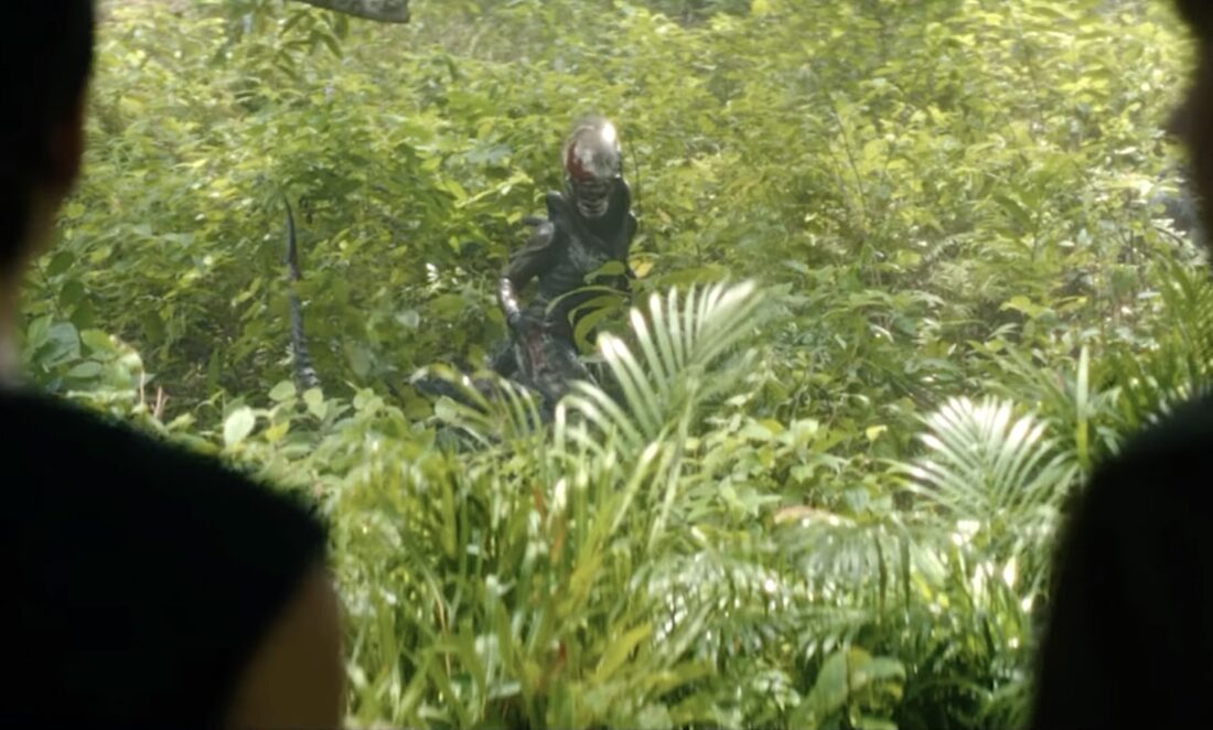 The alien stands in a field of palmetto in Noah Hawley's Alien: Earth.