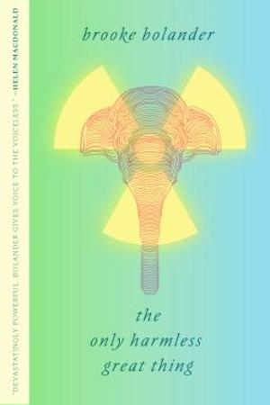Cover of The Only Harmless Great Thing by Brooke Bolander