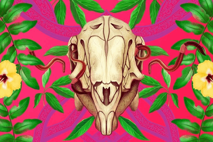 detail from the cover of Rakesfall by Vajra Chandrasekera