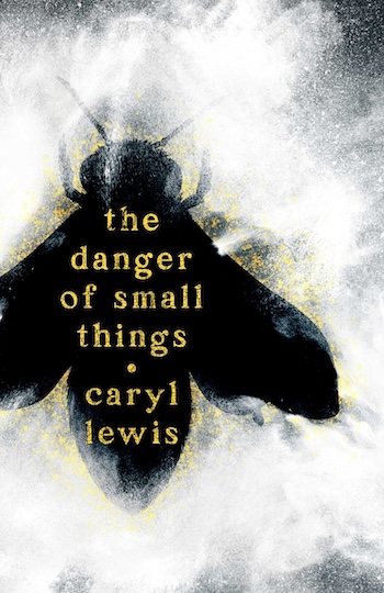 cover of The Danger of Small Things by Caryl Lewis