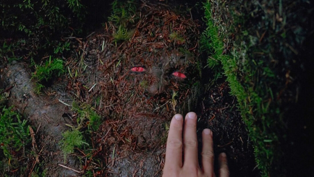 A camouflaged creature from the X-Files Episode Detour
