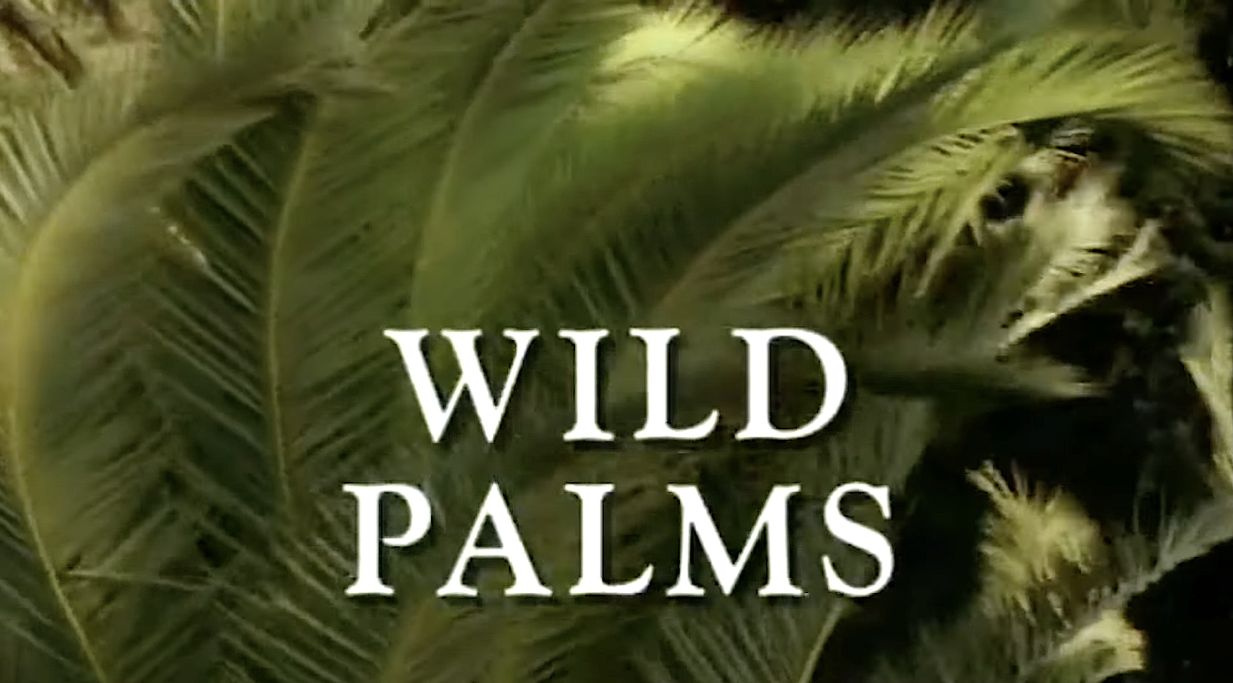 Dispatches From the State Perceptory: The Unruly Legacy of Wild Palms - Reactor
