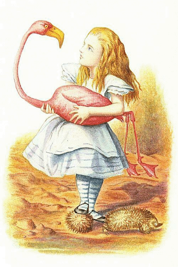 Illustration of Alice holding a flamingo from "Alice's Adventures in Wonderland" (art by John Tenniel, 1865, colorized c.1890)