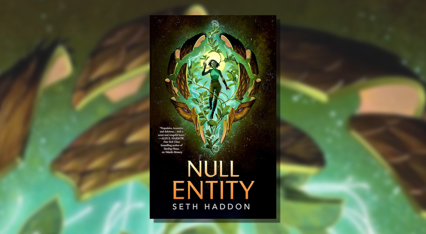 Read an Excerpt From Null Entity by Seth Haddon