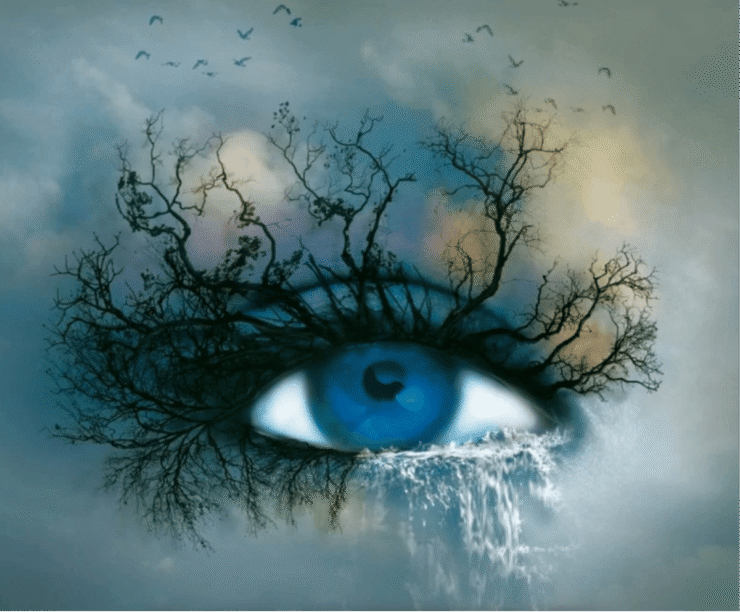 Tahereh Mafi’s Shatter Me Series Acquired For Feature Film Adaptation