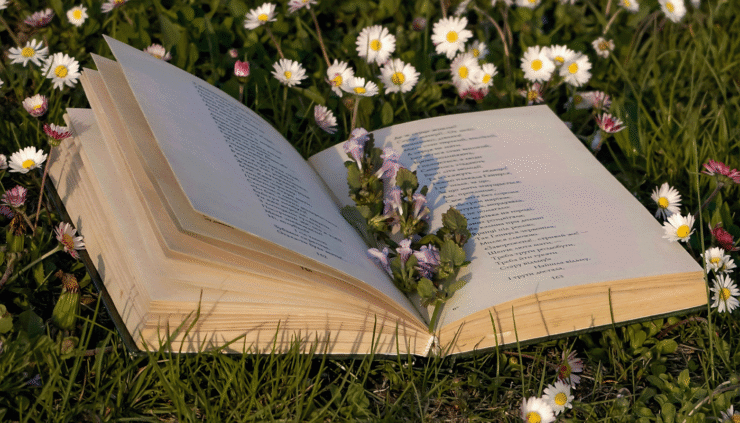 Photo of an open book laying in the grass; small white flowers are visible around the book, and pale purple flowers.