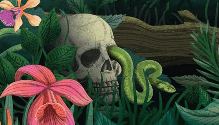 detail from the cover of Rainforest by Michelle Paver