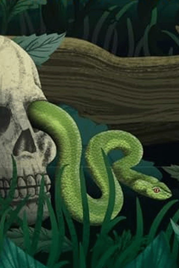 detail from the cover of Rainforest by Michelle Paver