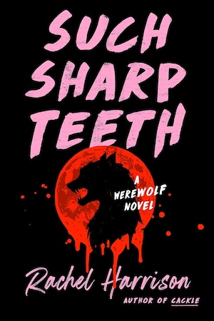 cover of Such Sharp Teeth by Rachel Harrison