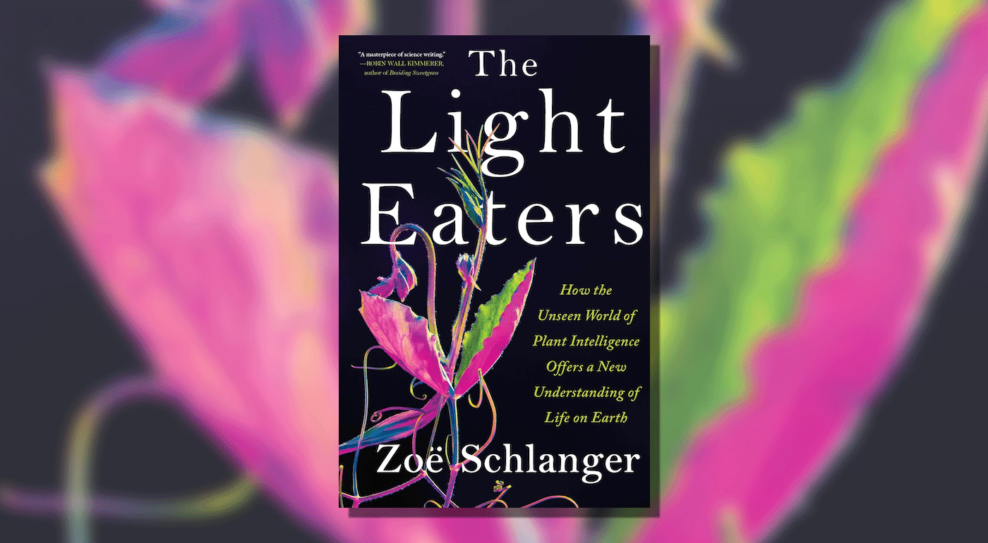 Vegetable Neighborhoods, Clan Wars, and Hunting Strategies: Zoë Schlanger’s The Light Eaters