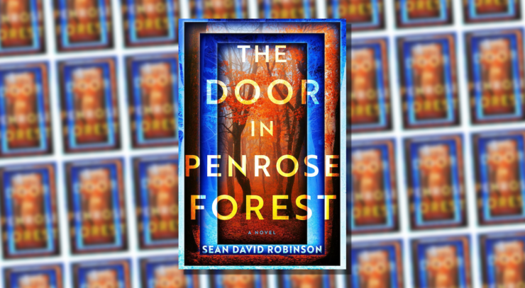 Cover of The Door in Penrose Forest by Sean David Robinson.