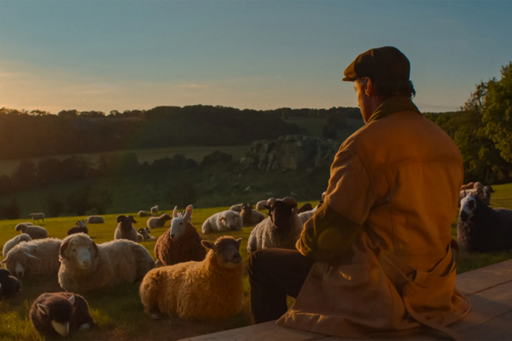 George Hardy (Hugh Jackman) sits with his flock of sheep in The Sheep Detectives