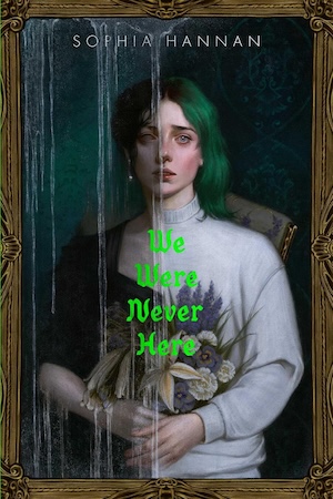 cover of We Were Never Here by Sophia Hannan