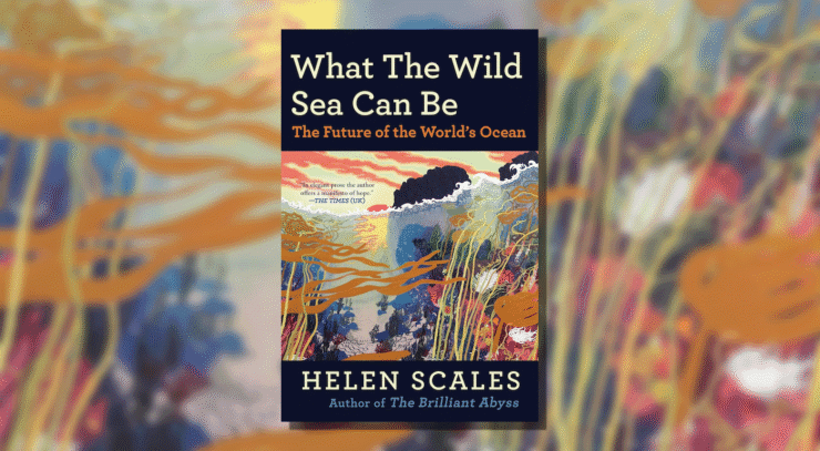 Voracious Urchins, Angry Orcas, and Tuna Conspiracies: Helen Scales’ What the Wild Sea Can Be